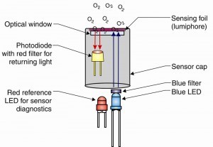 DO Diagram Products 1